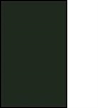Ruth Charles, Ruth A Charles, Ruth A. Charles, A. Charles Ruth - Immigrant Women''s Lives