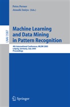 Imiya, Imiya, Atsushi Imiya, Petr Perner, Petra Perner - Machine Learning and Data Mining in Pattern Recognition