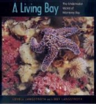 Libby Langstroth, Lovell Langstroth, Lovell Langstroth Langstroth, Andrew Todd Newberry - Living Bay