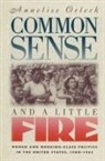 Annelise Orleck - Common Sense & A Little Fire