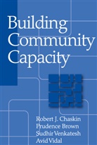 Prudence Brown, Robert J. Chaskin, Robert J. (EDT)/ Brown Chaskin, Sudhir Venkatesh, Sudhir Alladi Venkatesh, Avid Vidal... - Building Community Capacity
