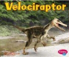 Carol K. Lindeen - Velociraptor