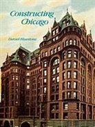 Daniel Bluestone, Bluestone Daniel - Constructing Chicago