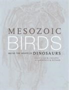 Luis M. Chiappe, Luis M. Witmer Chiappe, Luis M. Chiappe, Lawrence M. Witmer - Mesozoic Birds