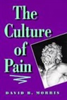 Morris, David B Morris, David B. Morris, Morris David B., David B. Morris - The Culture of Pain