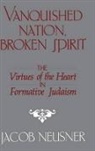 Jacob Neusner - Vanquished Nation, Broken Spirit