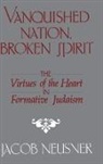 Jacob Neusner - Vanquished Nation, Broken Spirit