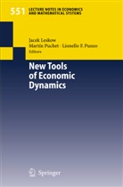 Jacek Leskow, Martin Puchet, Lionello F Punzo, Jacek Leskow, Marti Puchet, Martin Puchet... - New Tools of Economic Dynamics