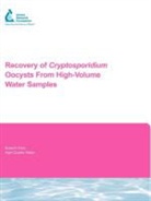 J Clancy, J Mccuin Clancy, J. Clancy, Jennifer L. Clancy, T Hargy, T. Hargy... - Recovery of Cryptosporidium Oocysts From High-Volume Water Samples
