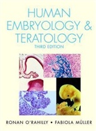 Fabiola M]ller, Fabiola Ma1/4ller, Fabiola Muller, R Muller, Fabiola Müller, O&amp;apos... - Human Embryology And Teratology