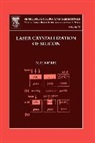 Norbert (Hahn-Meitner-Institut Nickel, Norbert H. Nickel, Norbert H. (Hahn-Meitner-Institut Berlin) Nickel - Laser Crystallization of Silicon