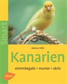 Markus Hübl - Kanarien