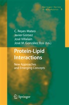 Javie Gómez, Javier Gómez, José Manuel González Ros, C. Reyes Mateo, C.Reyes Mateo, José Villalaín... - Protein-Lipid Interactions
