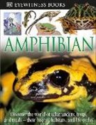 Barry Clarke, Barry/ Brightling Clarke, Geoff Brightling, Frank Greenaway - Amphibian