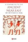 Snell, Daniel C. Snell, SNELL DANIEL C, Daniel Snell, Daniel C. Snell - Companion to the Ancient Near East