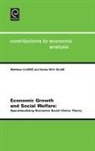 M. Clarke, Matthew Clarke, M N Islam, M. N. Islam, Sardar M. N. Islam, Matthew Clarke... - Economic Growth and Social Welfare