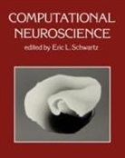 Eric L. Schwartz, Eric L. (Boston University) Schwartz, Eric L. Schwartz - Computational Neuroscience