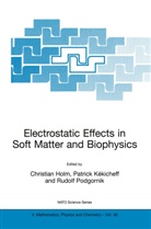 Christian Holm, Patric Kékicheff, Patrick Kékicheff, Rudolf Podgornik - Electrostatic Effects in Soft Matter and Biophysics