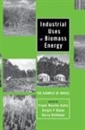 ROSILLO CALLE FRANCISCO ETC BAJA, Francisco Etc. Bajay Rosillo-Calle, Frank Rosillo-Calle, Frank Bajay Rosillo-Calle, Sergio V. Bajay, Francisco Rosillo Callbe... - Industrial Uses of Biomass Energy