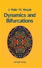 H. Buttanri, Jack Hale, Jack K Hale, Jack K. Hale, Hüseyin Kocak, Hüseyin Koçak... - Dynamics and Bifurcations