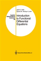 Jack Hale, Jack K Hale, Jack K. Hale, Sjoerd M Verduyn Lunel, Sjoerd M. Verduyn Lunel - Introduction to Functional Differential Equations
