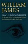 William James - Essays in Radical Empiricism
