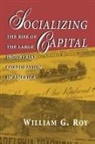William G. Roy, Roy William G. - Socializing Capital