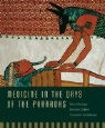 Bruno Halioua, Bruno Ziskind Halioua - Medicine in the Days of the Pharaohs