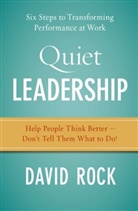 David Rock - Quiet Leadership