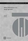 Adam Kobor, Adam/ Shi Kobor, Lishan Shi, Ivan Zelenko - What Determines U.S. Swap Spreads?
