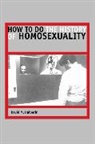 David Halperin, David M. Halperin, Halperin David M., University Of Chicago Press - How To Do The History Of Homosexuality