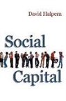 D Halpern, David Halpern, David (University of Cambridge) Halpern, Polity Press - Social Capital
