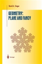 David A Singer, David A. Singer - Geometry: Plane and Fancy