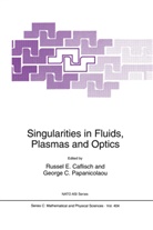 C Papanicolaou, C Papanicolaou, R. E. Caflisch, R.E. Caflisch, Russe Caflisch, Russel Caflisch... - Singularities in Fluids, Plasmas and Optics