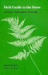 James Bruce, James G. Bruce, Lloyd Snyder, Lloyd H. Snyder, Lloyd H. Jr. Snyder - Field Guide to the Ferns