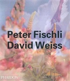 Danto, Arthur C. Danto, Arthur Coleman Danto, Pete Fischli, Peter Fischli, Flec... - Peter Fischli et David Weiss