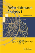 Stefan Hildebrandt - Analysis. Tl.1