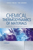 Tor Grande, Tor (Norwegian University of Science and Technology Grande, Svein Stlen, Svein (University of Oslo Stlen, S Stolen, Svein Stolen... - Chemical Thermodynamics of Materials