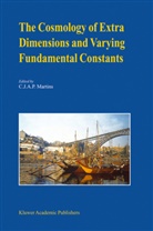 C. J. A. P. Martins, C.J.A.P. Martins, Carlo Martins, Carlos Martins - The Cosmology of Extra Dimensions and Varying Fundamental Constants