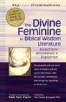 Rabbi Rami Shapiro, Rami M. Shapiro - Divine Feminine in Biblical Wisdom Literature