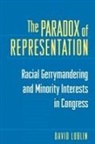 David Lublin, Lublin David - Paradox of Representation