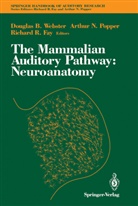 Dougla B Webster, Douglas B Webster, Richard R Fay, Richard R. Fay, Arthur N. Popper, R Fay... - The Mammalian Auditory Pathway: Neuroanatomy