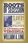 William A Link, William A. Link - Roots of Secession