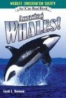 Sarah L Thomson, Sarah L. Thomson, Wildlife Conservation Society - Amazing Whales!