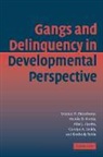Marvin D. Krohn, Marvin D. (State University of New York Krohn, Alan D. Lizotte, Alan J. Lizotte, Alan J. (State University of New York Lizotte, Carolyn A. (State University of New York Smith... - Gang Delinquency Develop Perspectve