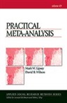 Mark W Lipsey, Mark W. Lipsey, Mark W. Wilson Lipsey, Mark Lipsey, Lipsey Mark Lipsey, David Wilson... - Practical Meta-Analysis