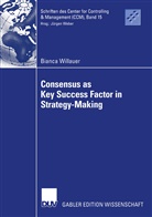 Bianca Willauer - Consensus as Key Success Factor in Strategy-Making