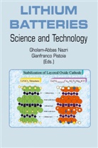 Gholam-Abba Nazri, Gholam-Abbas Nazri, Pistoia, Pistoia, Gianfranco Pistoia - Lithium Batteries