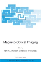 To H Johansen, Tom H Johansen, Tom H. Johansen, Daniel V. Shantsev, Daniil Shantsev, V Shantsev... - Magneto-Optical Imaging