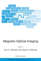 To H Johansen, Tom H Johansen, Tom H. Johansen, Daniel V. Shantsev, Daniil Shantsev, V Shantsev... - Magneto-Optical Imaging